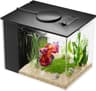 Acuario para gambas