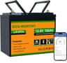 Batería LiFePO4 12V 100Ah