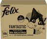 Felix Fantastic