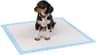 lionto Alfombrilla de Entrenamiento