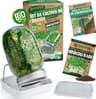 Kit de Cultivo de Brotes Bio