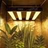 LED 240W Espectro Completo