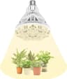 SANSI Lampara de Plantas