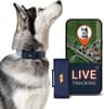 Localizador GPS para perros 4G