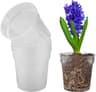 Maceta transparente para orquídeas