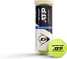 DUNLOP Campeonato ATP