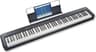 Casio CDP-S110