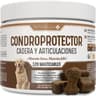 Condroprotector Perros
