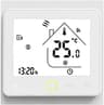 MOES ZigBee Alexa