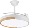 Ventilador de techo con luz retráctil