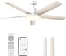 Ventilador techo inteligente Dreo
